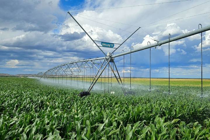 Lugar de ensueño. La región ignorada que podría ser un boom nunca visto con un millón de hectáreas