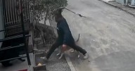 Captan a un sujeto golpeando con una cadena a un perro que dormía tranquilamente en Antofagasta