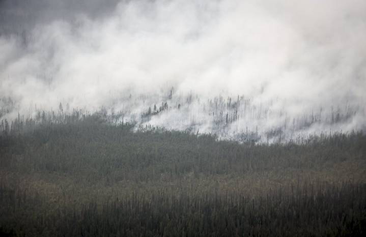 Environment groups calls for swift climate policies ahead of fall Parliament session