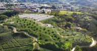 El tesoro secreto de Caldas: una nueva visión para aprovechar un potencial económico que había sido ignorado