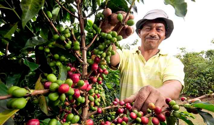 Familias cafeteras de Aracataca y Fundación reciben equipos para mejorar su producción