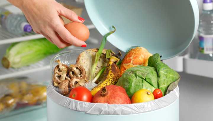 Alimentos a la basura: hogares chilenos desperdician hasta $300 mil al año