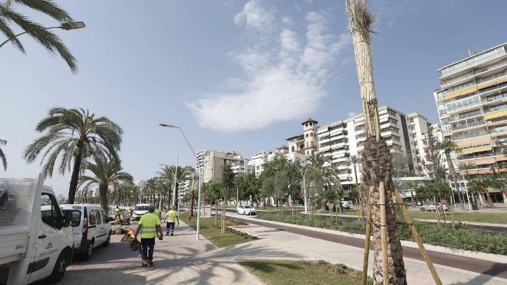 La APB dará a conocer la reforma del Paseo Marítimo con una carrera solidaria los días 15 y 16 de noviembre