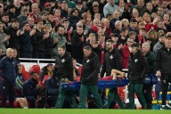 Liverpool defender Giovanni Leoni injured on debut against Southampton