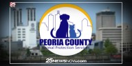 PCAPS to help pets find forever homes by waiving adoption fees