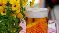 Estas son las actividades para celebrar Oktoberfest en CDMX
