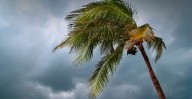 Zona de baja presión en el Atlántico podría evolucionar a ciclón este fin de semana