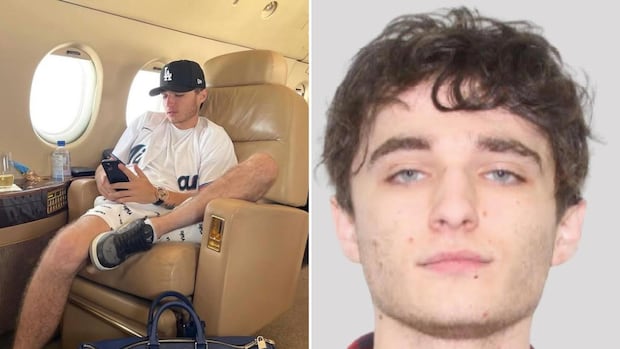Ontario's self-styled Crypto King pleads guilty to assaulting woman