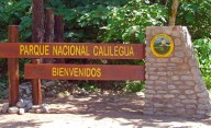 Parque Nacional Calilegua: Greenpeace logró una condena clave