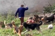 Después del ataque de la jauría de perros, “Cachito” fue detenido nuevamente por la Policía