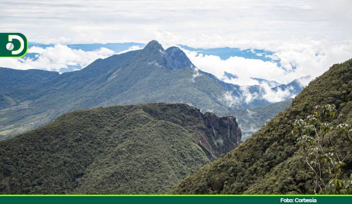 Sonsón y San Francisco, escenario del primer proyecto de conservación con enfoque en PSA y Obras por Impuestos