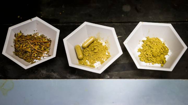 Manatee could be 2nd Florida county to crack down on kratom. What to know