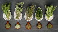 The Critical Herb Mistake That's Costing You Flavor