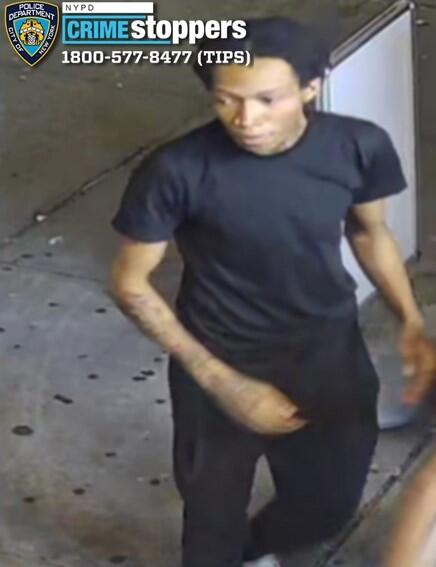 Killers sought in deadly Bronx summer execution: Here they are