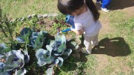 Prácticas conscientes para la primera infancia en la Cumbre Líderes por la Educación