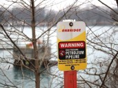 U.S. administration support for Line 5 pipeline welcome: Bradley