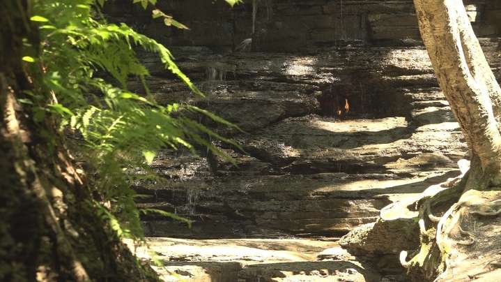 Erie County Parks reminds hikers of safety on Eternal Flame Trail