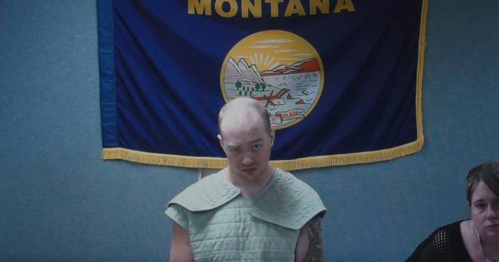 Man charged with stabbing his father near Clinton appears in court