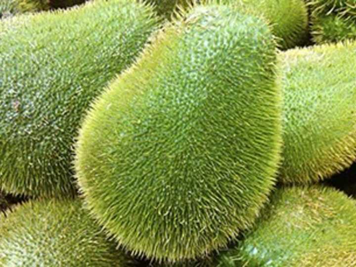 Cuáles son las propiedades del chayote para mantenerte en forma