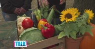 Pumpkinland returning to Janoski's Farm