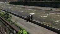 Encuentran cuerpo de hombre en lecho del Río Mapocho: Carabineros trabaja en el lugar