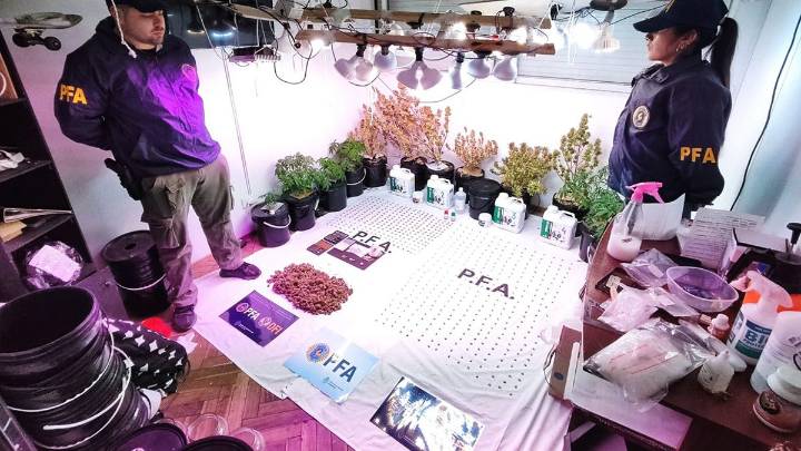 Golpe al narcotráfico: secuestran drogas de diseño valuadas en más de 60 millones de pesos