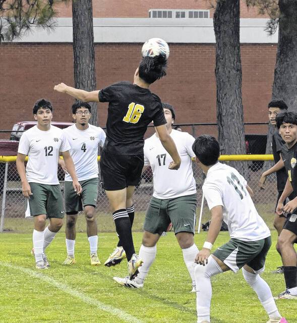 ‘Cats take down Rebels in home match