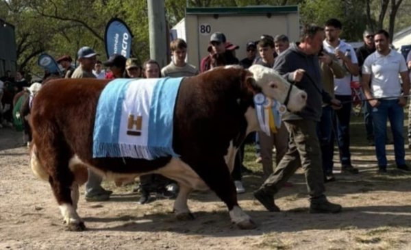 Patagones: concluyó una exitosa edición de la Expo Rural