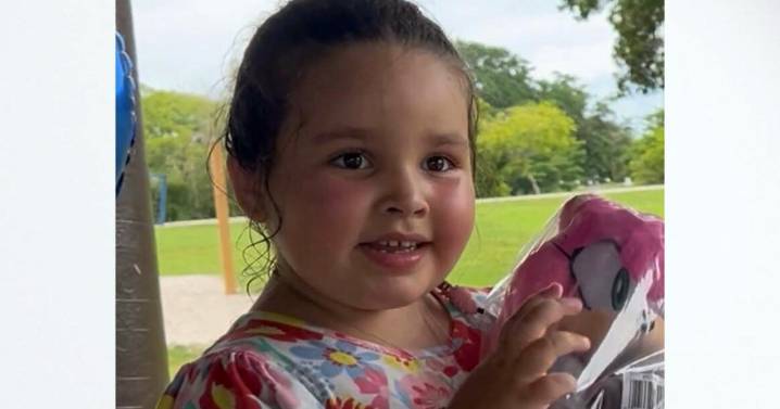 Missing Hollywood 5-year-old girl found safe in New York, mother arrested, police say
