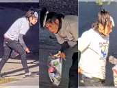 Police seek suspect in elderly cyclist's death in downtown collision