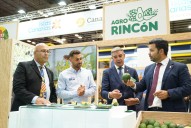 Canarias triplica en 2024 sus exportaciones de aguacate al mercado peninsular y europeo