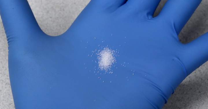 Carfentanil deaths rising in Alberta with big increase in Edmonton