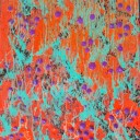 “Eutopía del color”, la muestra de Rocío López Díaz Valentín se inaugura en la Bolsa de Comercio