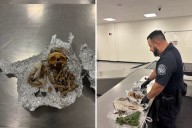 Human Skull and Bones Found in Passenger's Bag At Florida Airport