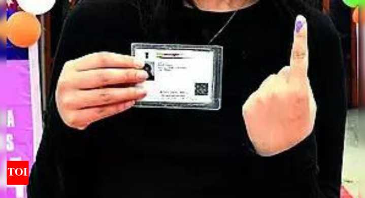 Online application for voter roll change will need Aadhaar