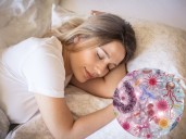 Los microbios intestinales podrían contener la clave oculta de por qué dormimos