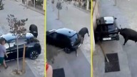 El momento en que un toro destruyó auto estacionado durante tradicional encierro en España