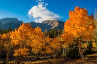 LIST: Fall hikes to see the best leaves in New Mexico