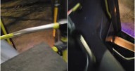 Colectivera salteña vivió una pesadilla: "Una divina princesa..."