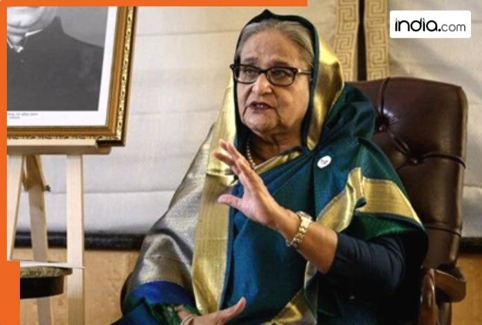 Bangladesh will be liberated from clutches of fundamentalists: Sheikh Hasina's message on Shardiya Navratri