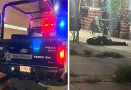 Sicarios balean a hombre afuera de una taquería en Prado Norte de Cancún