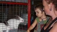 Weed resident wins Siskiyou Golden Fair 2026 theme…