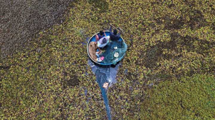 As climate risks grow, India's Bengaluru is trying to save its vanishing lakes