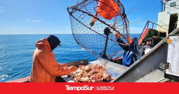 Consejo Federal Pesquero Aprueban campañas para evaluar la centolla