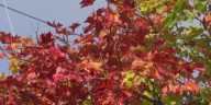 September 12: 15 Day Outlook