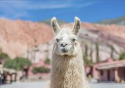 ¿Cuál es el pueblo más bonito de Argentina, según la IA?