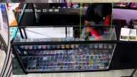 Thief targets Pokémon cards in North Texas burglary
