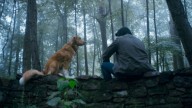 The New 'Good Boy' Trailer Puts the Dog in Dog Horror