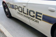 Domestic incident leads to gun arrest