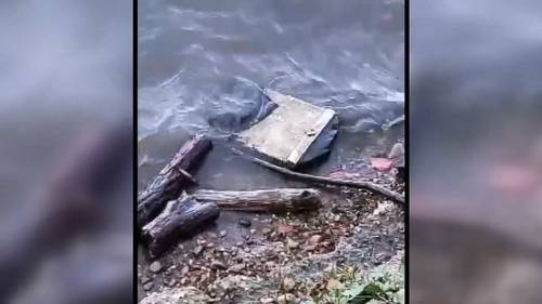 Possible DC plane crash wreckage found by man walking his dog